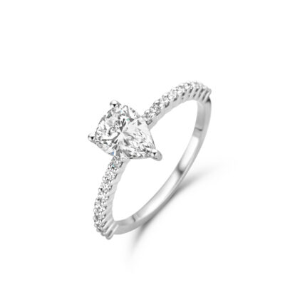 Solitaires accompagnés
